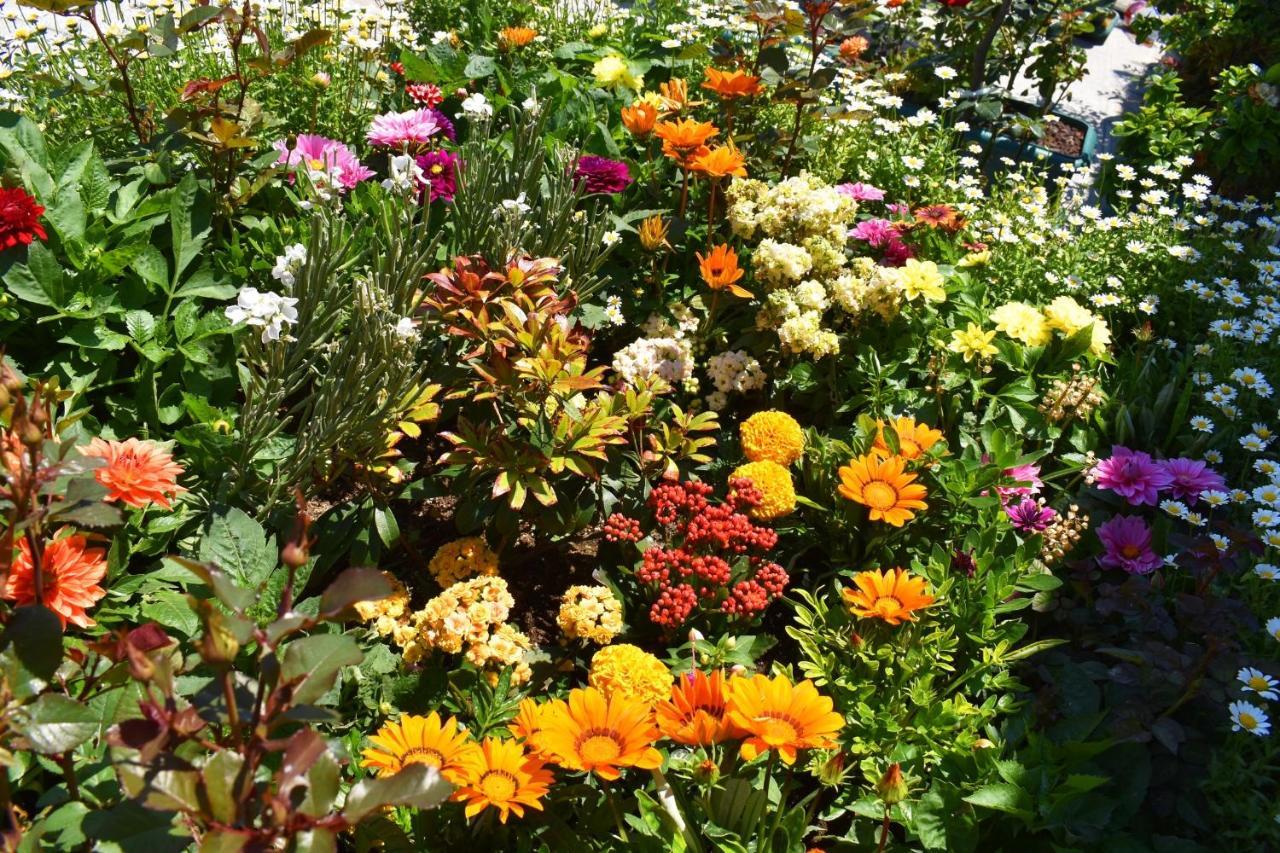 Hotel Garden Terrace Old Istanbul Ngoại thất bức ảnh